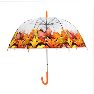 China China Manufacturer Hanging Yellow Autumn Maple Leaves Flora Print Clear Transparent Dome Umbrella for sale