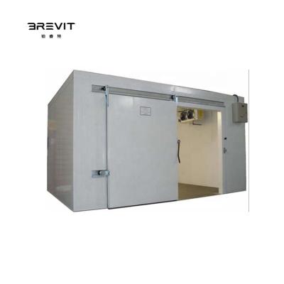 China BREVIT Double-temperature Manufacturer Walk Cold Storage Mini Freezer Cold Room Refrigeration Solar Cold Room Storage for sale