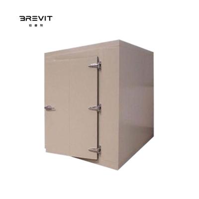 China BREVIT Dual-temperature Manufacturer Walk Cold Fish Storage Freezer Cold Room Refrigeration Solar Powered Cold Storage Room for sale