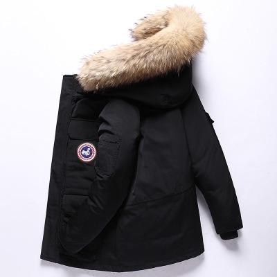 China High End Plus Size Mens Breathable Clothes Padded Winter Goose Duck Down Jacket Hooded Puffer Jacket With Fur for sale