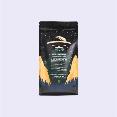 China Recycled Materials Coffee Plastic Bags With Smell Hole Custom Design Coffee Zipper Bag 250g Heat Seal Coffee Tea Bags Ziplock Valve for sale