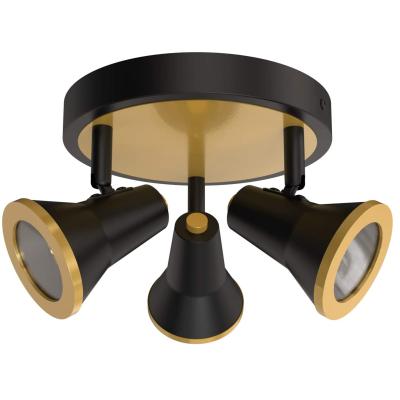 China Light Angle Adjustable Black Ceiling Lamp 10.5