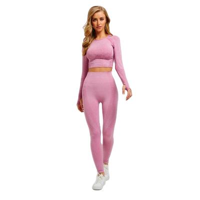 China Hot Sale Yoga Wear Breathable Sport Clothing Training Used Seamless Wear 2 Pieces Yoga Set for sale