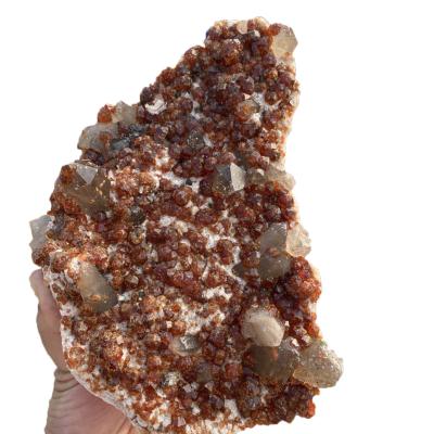 China China Garnet Rough Specimen Garnet Specimen Natural Garnet Mineral Raw Group for sale