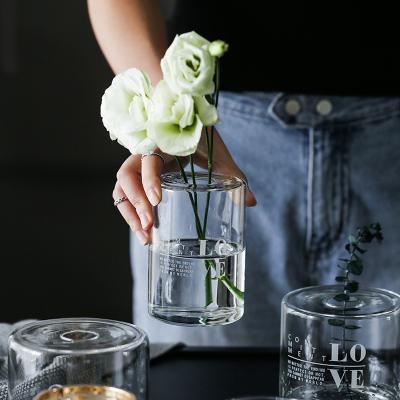 China Art Decor Ins Modern Mini Clear Glass Jug Desktop Open Small Flower Vases Cutting Top With Hole For Living Room Decoration 1400 for sale