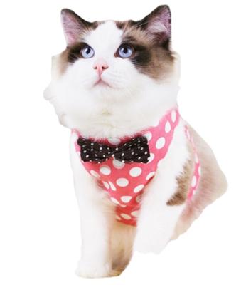 China New Type Reflective Traction Strap Cat Chest Strap Cat Traction Rope Vest Rope for sale