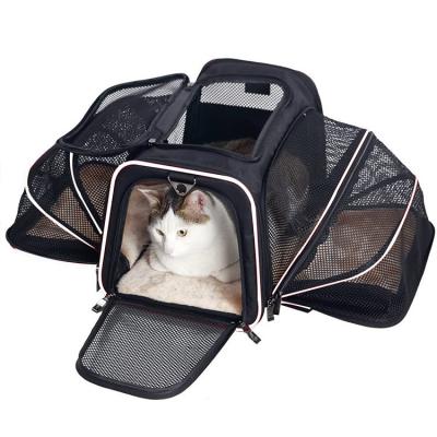 China 2021 pet travel bag chinese factory breathable wholesale mochila mascotas for sale