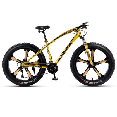 China Factory wholesale steel mountain bicycle 24/26 inch variable speed snow damping bike for sale