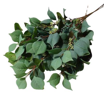 China Environmentally Friendly Simulated Artificial Leaf Linden Leaves Landscaping Wedding Decoration Plant European Bodhi Main 3 Artificial Leaf for sale