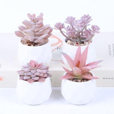 China Minimalist Minimalist Top Selling Modern Mini Home Office Decor Eco - Friendly Artificial Succulent Plants With Ceramic Pots for sale