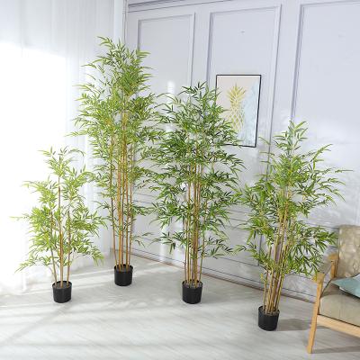 China Minimalist Minimalist Fake Bonsai Bamboo Decoration Simulated Green Plants Landscape Bamboo Potted Decoration Partition Plastic Artificial Bamboo for sale