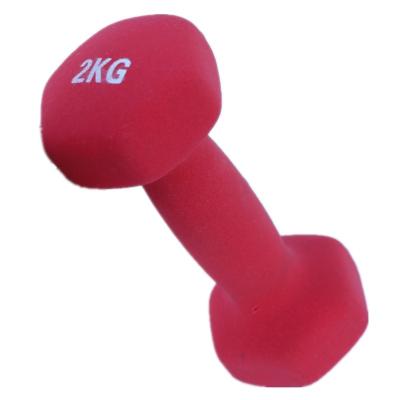 China Home Use Comfortable Non-slip Lady Dumbbell Gym Dumbbell 30kg for sale