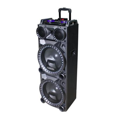 Chine Custom Remote Control Speaker Big Sound Box Mono Amplifier For Subwoofer à vendre