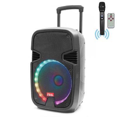 China Audio Factory Best-selling Waterproof Speaker 15inch Trolley Portable Speakers Case Outdoor Audio Amplifiers With LED Light zu verkaufen