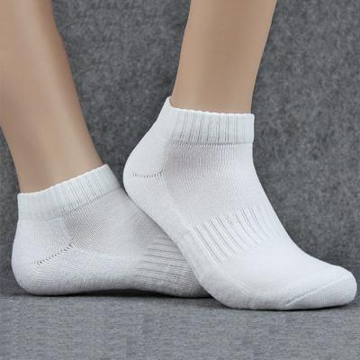 China Cheap Sport Firm Mesh Half Terry Basic Arch Support Fashion Cotton Antibacterial Happy Socks Women 168 Needles Mens Ankle Dress Socks for sale