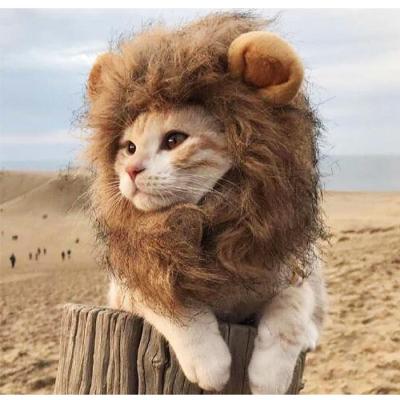 China Viable Newcomer Cat Wig Lion Headgear Funny Cosplay Lion Accessories Gifts for Cat Lovers for sale