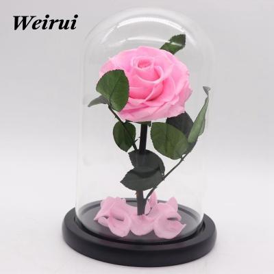 China Festival Valentine's Day Gift Heart Newly Shape Love Glass Roses Preserved Glassdome Rose Dome Many Sizes and Styles for sale