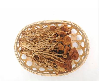 China Takeout Oyester Tea Tree Dry Mushroom Shitake Sliced ​​Bulk Cartoon Dried Mushroom for sale