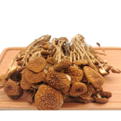 China Wholesale Dried Agrocybe Aegirit Dried Tea Tree Mushroom for sale