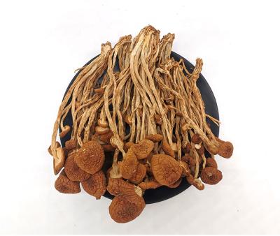 China Wholesale Dried Agrocybe Aegirit Factory Supply Dried Natural Tea Tree Mushroom Agrocybe Cylindracea for sale