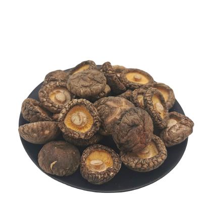 China Cultivated Spice Dried and Sealed in Shiitake Mushroom Dehydration Fruit Drying Plant Dried Pulses for sale