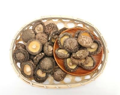 China Cultivated Spice Dried and Sealed in Shiitake Mushroom Dehydration Fruit Drying Plant Dried Pulses for sale