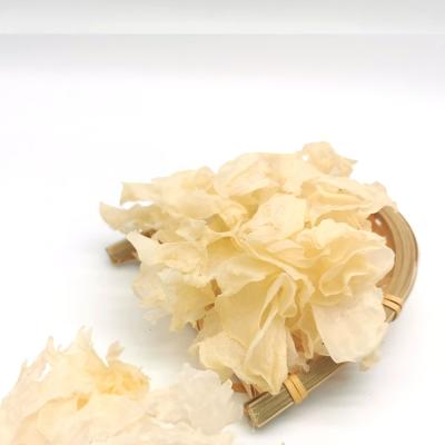 China Wholesale High Quality Dried Dried White Fungus Dried Tremella for sale