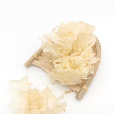 China Wholesale High Quality Natural Tremella Dry Dried White Fungus Fresh White Fungus Mushrooms for sale