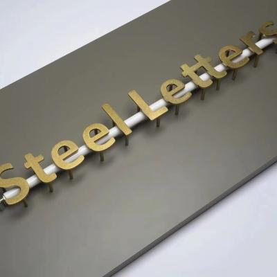 China Versatile 3D Mirrored/Black Stainless Steel Wall Letters for Advertising and Business for sale