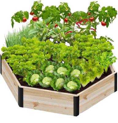 China Best Value Modern Fir Wood Raised Vegetable Bed Planter Wooden Hobby Garden Grow Gardening Planter for sale