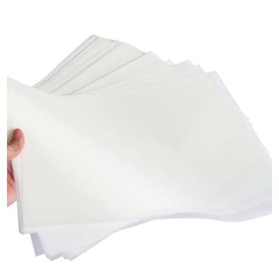 China Eco-friendly hot skin double sided white pelcula dtf films a3 dtf film sheet for epson L1800 for sale