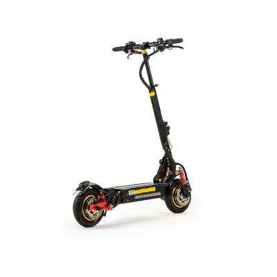 China 2021 Aluminum Alloy Iron Alloy Frame Motor Double Wheel Unisex Electric Scooter for sale