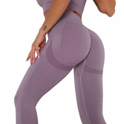 China Breathable High Quality Shapewear Knit Sports Wear Plus Size Leggings For Women for sale