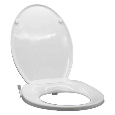 China Modern Non-Electric Self-cleaning Oval Double Spouts Adjustable Water Pressure Toilet Seat Bidet for sale