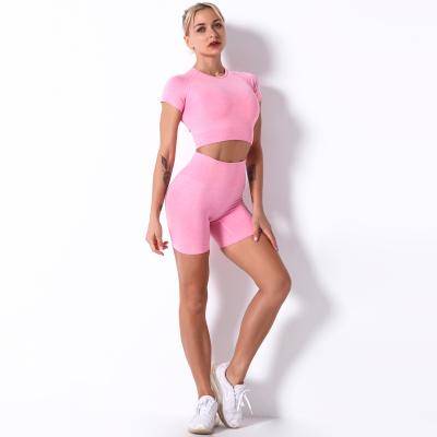 China Viable Women Summer Shorts Wholesale Hot Sale Seamless Sleeve Shorts Yoga Set Gym Wear for sale