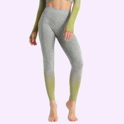 China Breathable 8 Colors Women Stripes High Waist Gym Yoga Fitness Pants Skinny Hot Selling Gaiters for sale