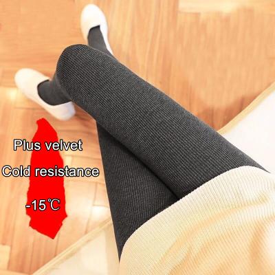 China 2021 Fashion Breathable Hot Selling High Quality Women Warm Winter Wholesale Seamless Tight Gaiters Gaiters for sale