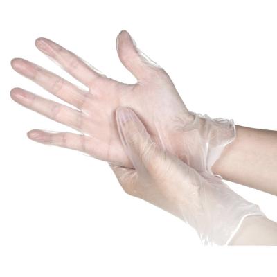 China Hotels Vinyl Gloves Powder Free In Bag Or Box PVC Gloves for sale