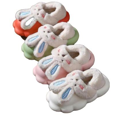 China LBK Winter Waterproof Detachable Warm Rabbit Wear Anti-skid Cushioning Bag With Cotton Slippers for sale