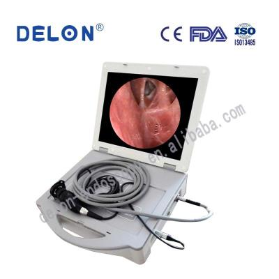 China DELON All in 1 Portable CCD Endoscopy Camera System F168DPL for sale