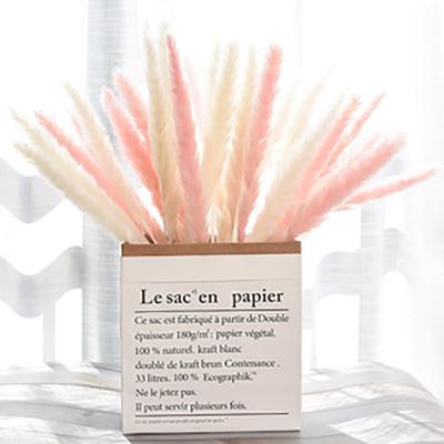 China Colorful Amazon Decoration Flower Dried Small Pampas Grass For Home Decoration 65cm for sale