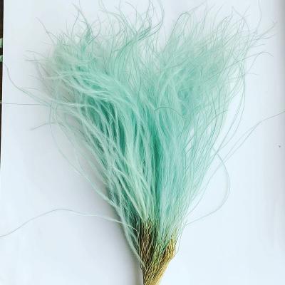 China High Quality Decorative Flower Preserved Feathery Stipe For Wedding And Home Decoration 25cm for sale