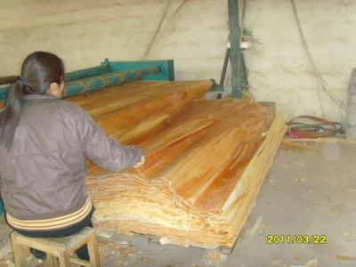 China Chapa de madera de abedul de los muebles en venta