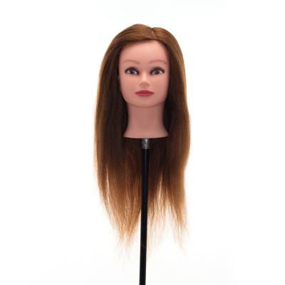 China High Quality Silky Straight Wave Training Mannequin Head For Hair Extension Training for sale