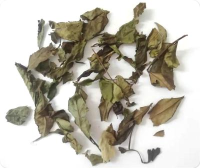 China Loose tea certified organic white tea Fujian peony tea shoumei tea shou mei for sale