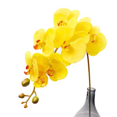 China Artificial Phalaenopsis Orchids Real Morden Home Decor Single Stem Touch for sale