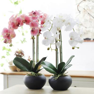 China Morden High End Real Orchids Home Decoration Artificial Flowers Touch With Pot for sale