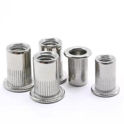 China High Quality Heavy Industry Rivet Nut Fastener Stainless Steel Flat Head for sale