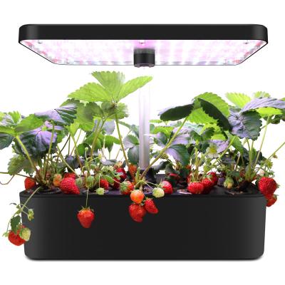 China SHENPU Box modern smart hydroponic planting desktop flower pots garden kit for flower for sale