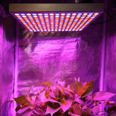 China Seed Seed Planting SHENPU Indoor Plant Led Grow Light 225 - 265V 45W Led AC 85 Led Grow Flowering Lamp for sale